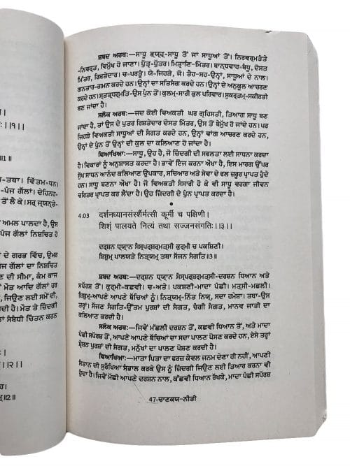 Chanakya Neeti - Punjabi - Image 2
